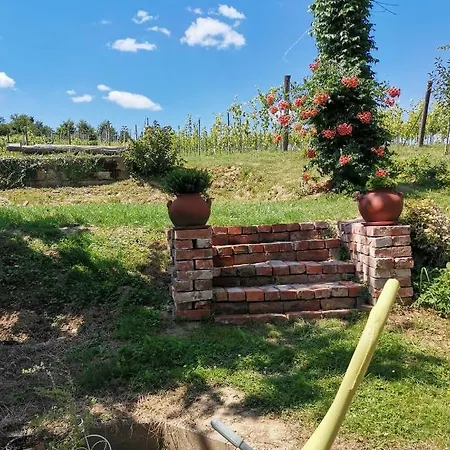 Apartma Med Vinogradi Vendégház
