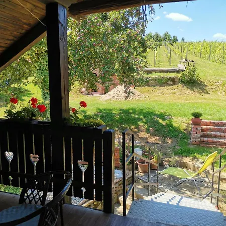 Gæstehus Apartma Med Vinogradi *