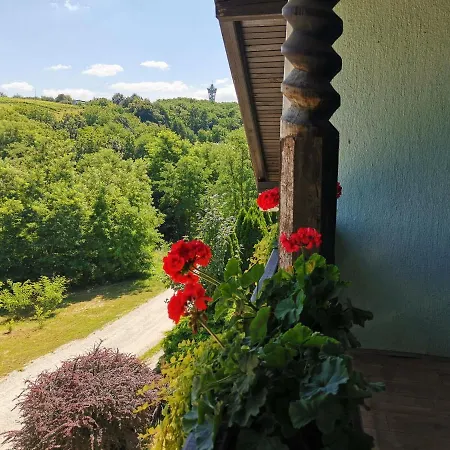 Casa de hóspedes Apartma Med Vinogradi Lendava