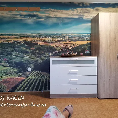 Apartma Med Vinogradi Casa de hóspedes Lendava