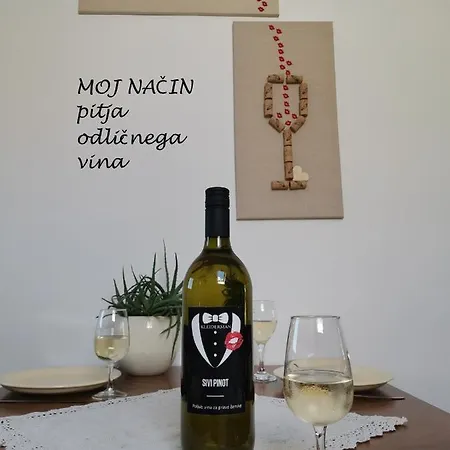 Apartma Med Vinogradi Lendva